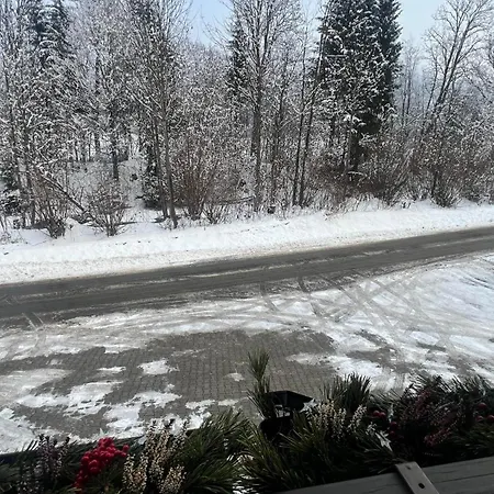 Hanna's קיצביהל