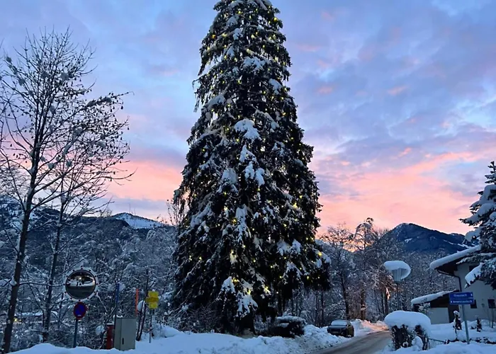 Hanna's קיצביהל